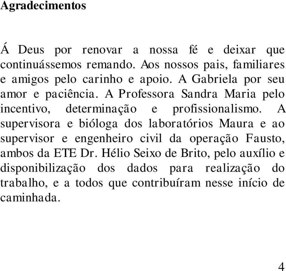 A Professora Sandra Maria pelo incentivo, determinação e profissionalismo.