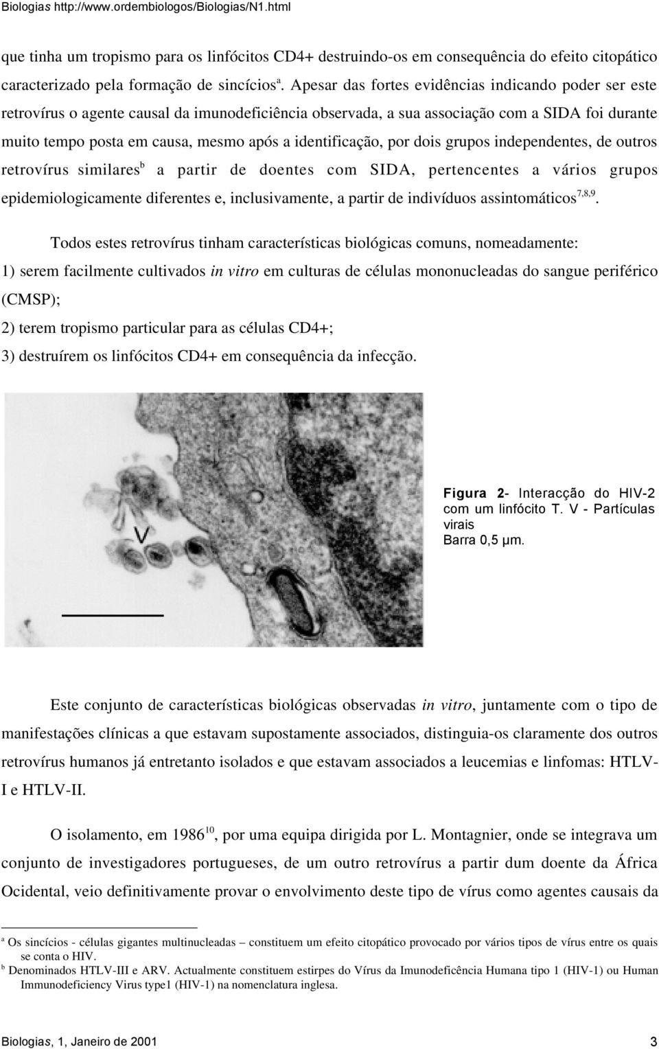 identificação, por dois grupos independentes, de outros retrovírus similares b a partir de doentes com SIDA, pertencentes a vários grupos epidemiologicamente diferentes e, inclusivamente, a partir de