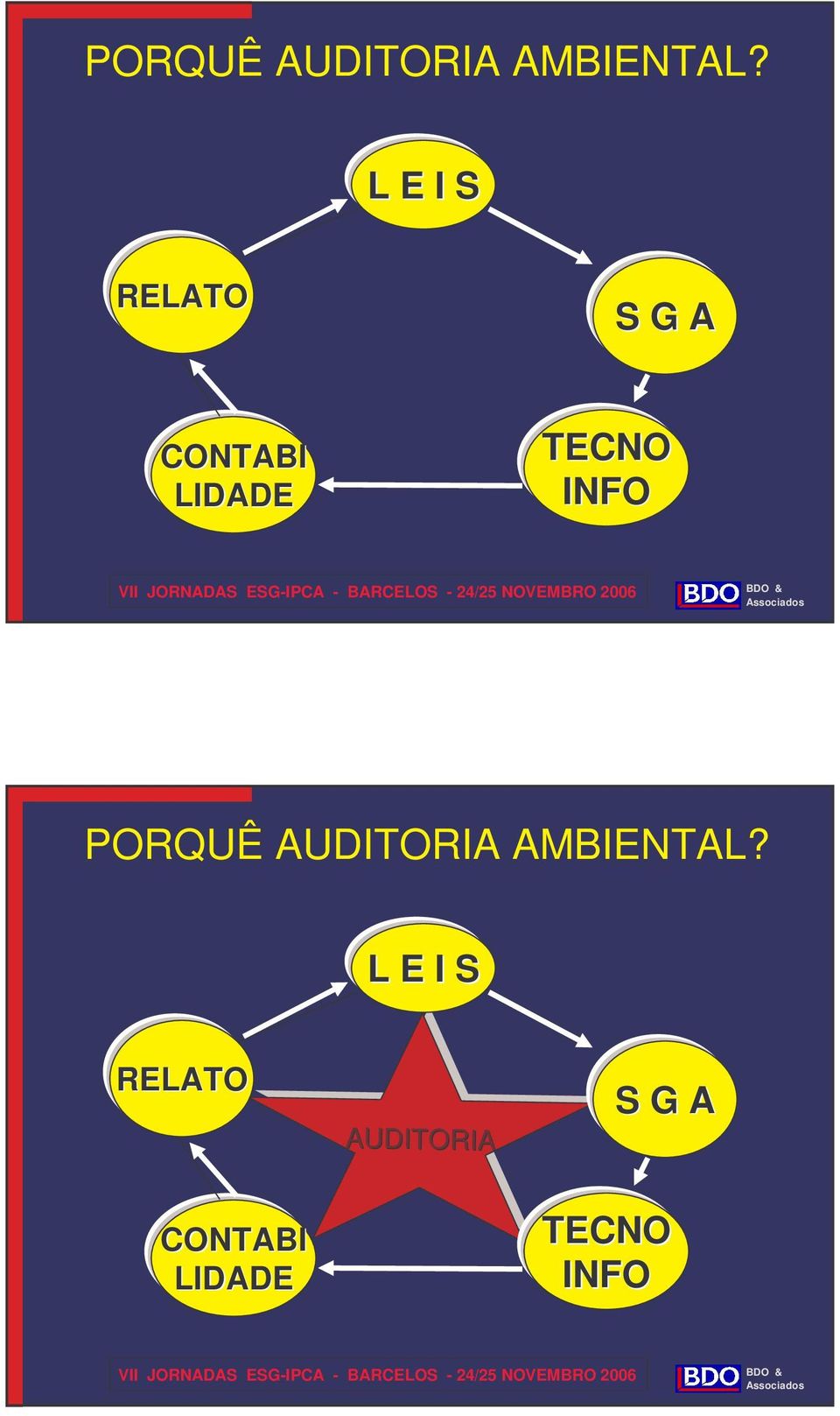 TECNO INFO  L E I S RELATO AUDITORIA S