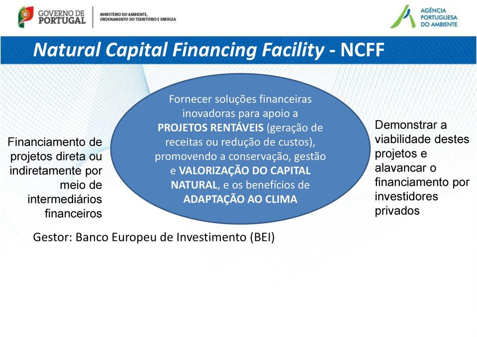 custos), promovendo a conservação, gestão e VALORIZAÇÃO DO CAPITAL NATURAL, e os benefícios de ADAPTAÇÃO AO CLIMA