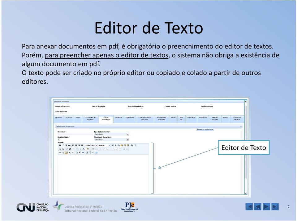 Porém, para preencher apenas o editor de textos, o sistema não obriga a