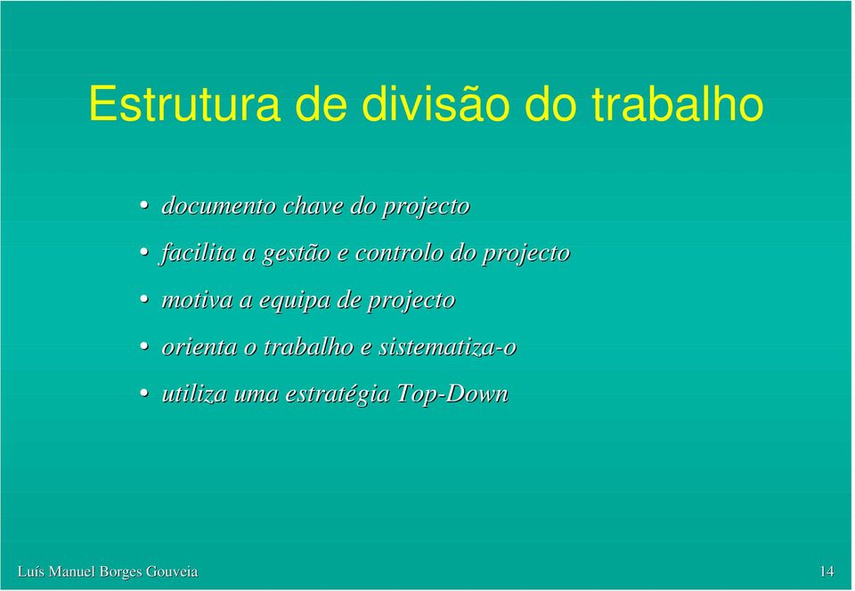 a equipa de projecto orienta o trabalho e sistematiza-o