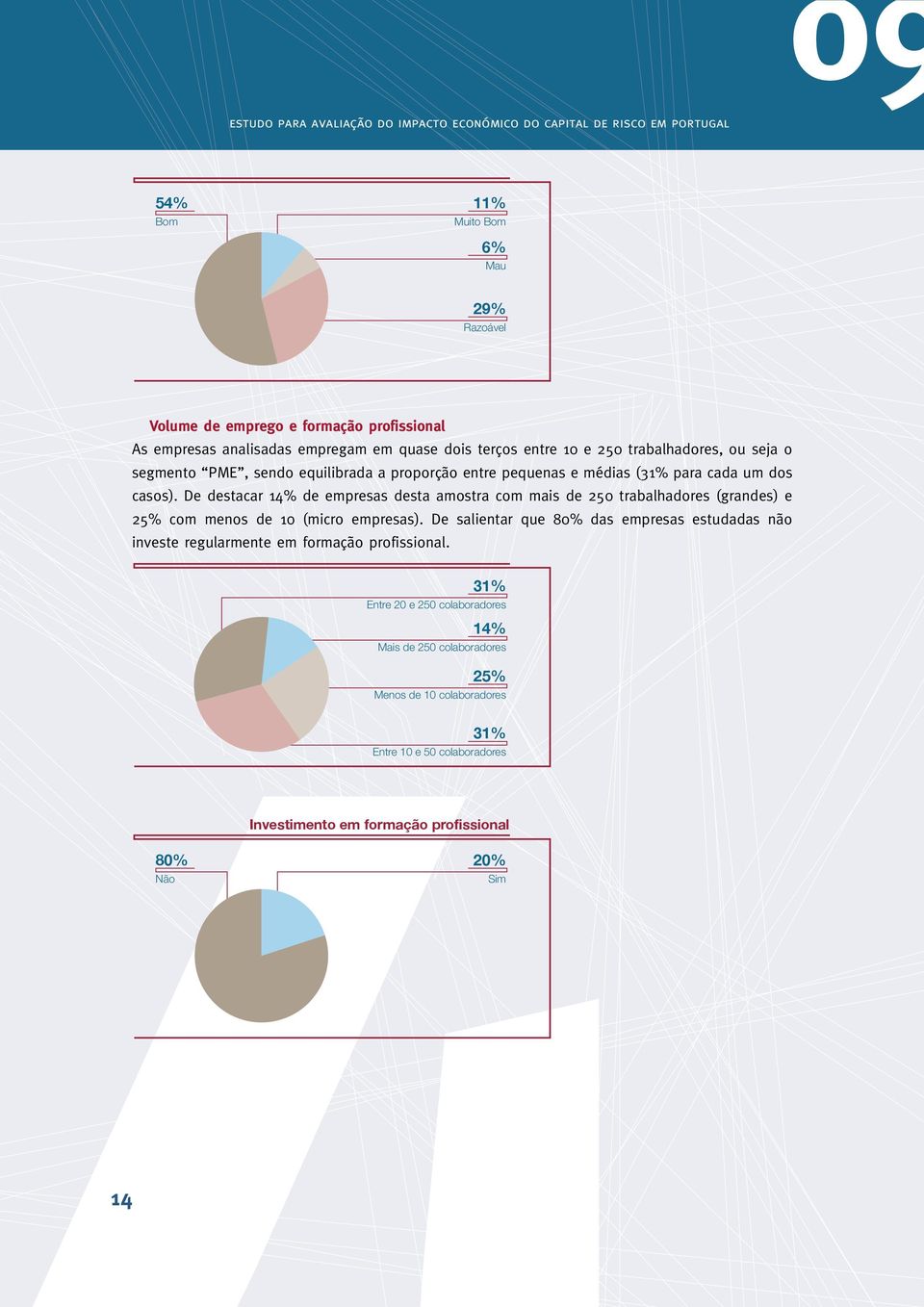 De destacar 14% de empresas desta amostra com mais de 250 trabalhadores (grandes) e 25% com menos de 10 (micro empresas).