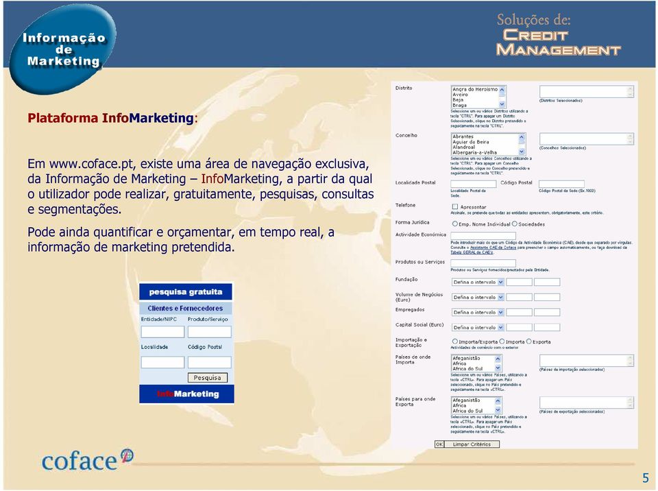 InfoMarketing, a partir da qual o utilizador pode realizar, gratuitamente,