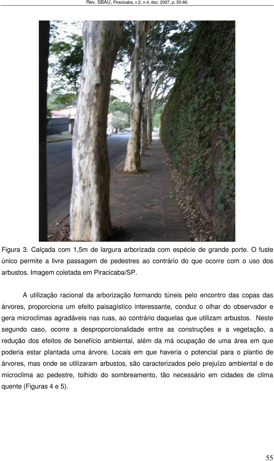 A utilização racional da arborização formando túneis pelo encontro das copas das árvores, proporciona um efeito paisagístico interessante, conduz o olhar do observador e gera microclimas agradáveis