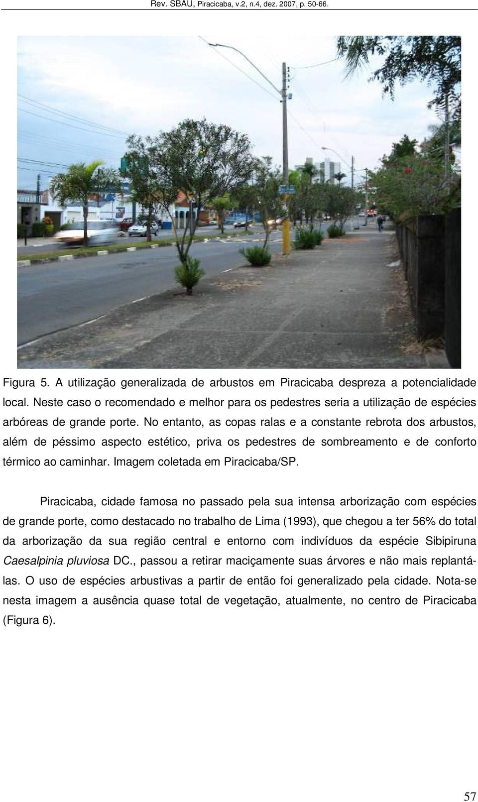 No entanto, as copas ralas e a constante rebrota dos arbustos, além de péssimo aspecto estético, priva os pedestres de sombreamento e de conforto térmico ao caminhar. Imagem coletada em Piracicaba/SP.