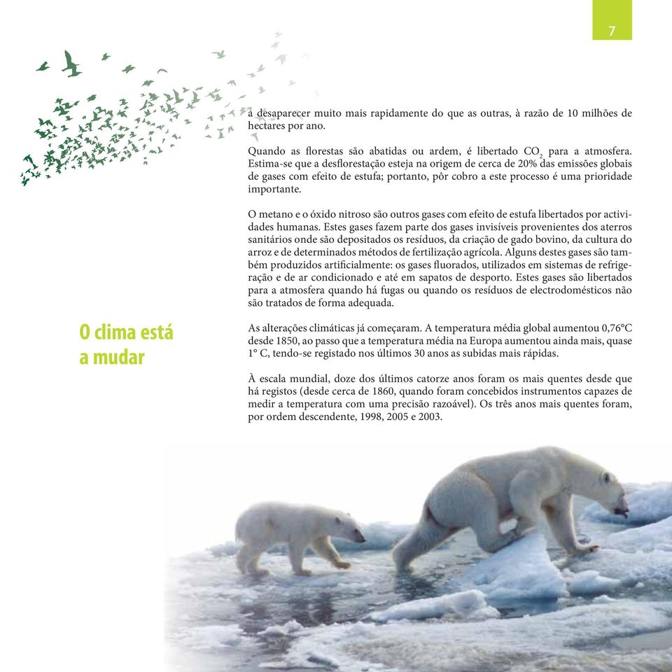 O clima está a mudar O metano e o óxido nitroso são outros gases com efeito de estufa libertados por actividades humanas.