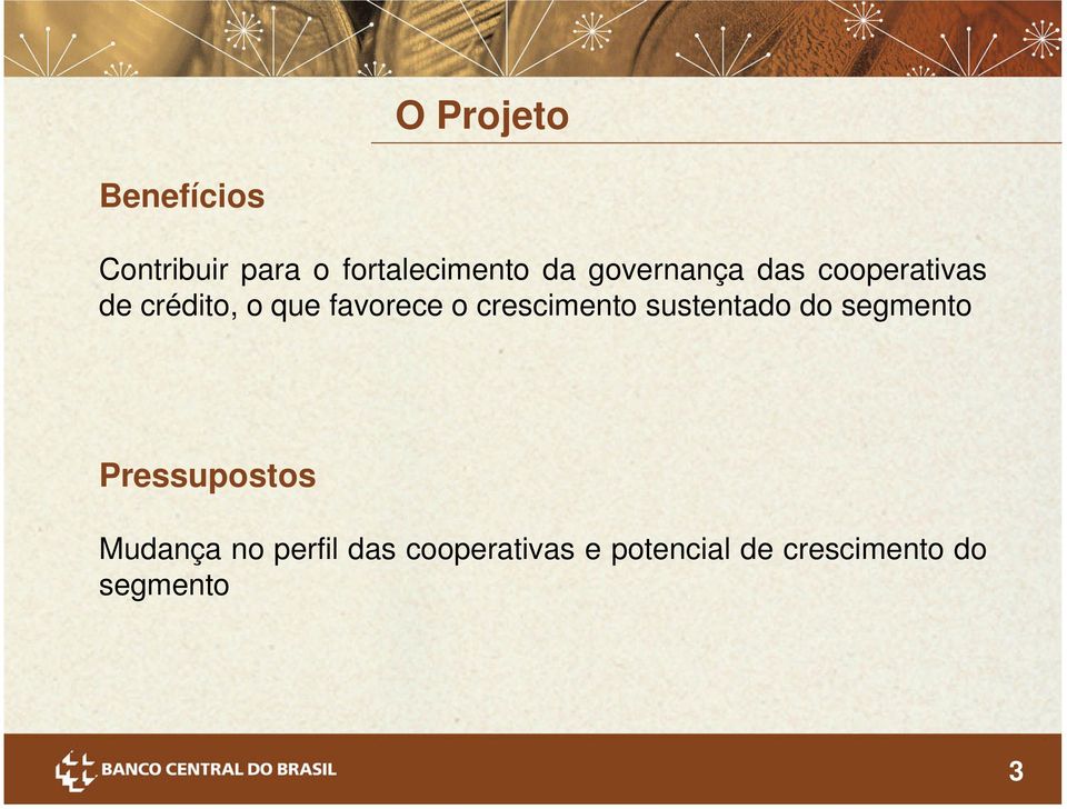 crescimento sustentado do segmento Pressupostos Mudança no