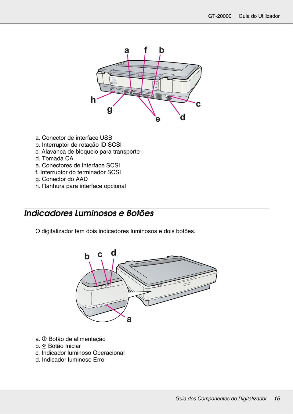 Ranhura para interface opcional Indicadores Luminosos e Botões O digitalizador tem dois indicadores luminosos e dois