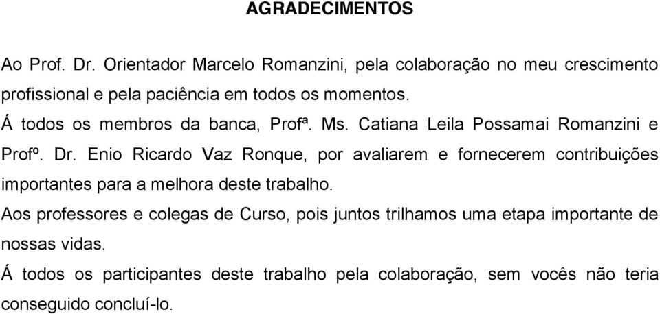 Á todos os membros da banca, Profª. Ms. Catiana Leila Possamai Romanzini e Profº. Dr.