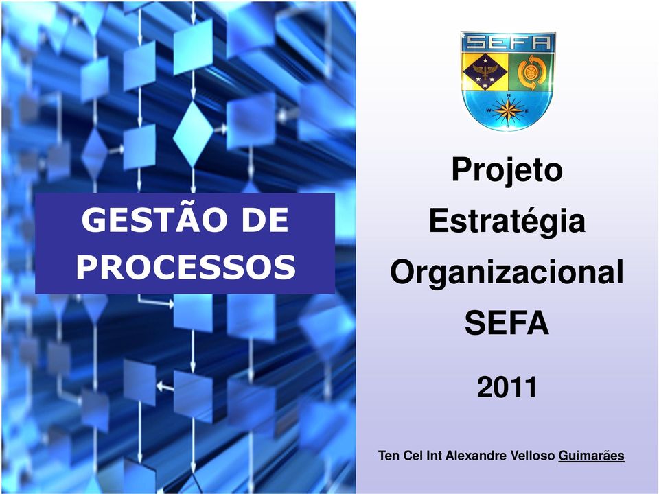 Organizacional SEFA 2011