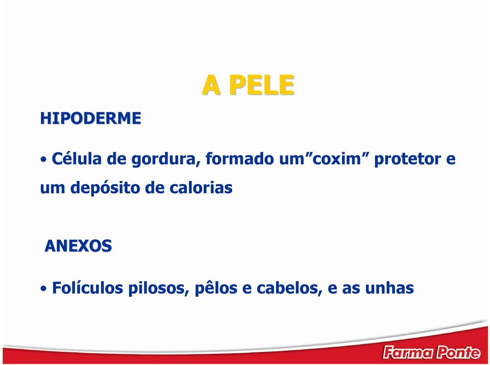 depósito de calorias ANEXOS