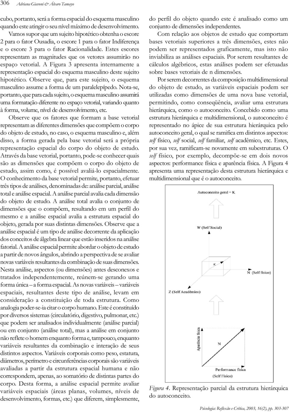 Estes escores representam as magnitudes que os vetores assumirão no espaço vetorial. A Figura 3 apresenta internamente a representação espacial do esquema masculino deste sujeito hipotético.