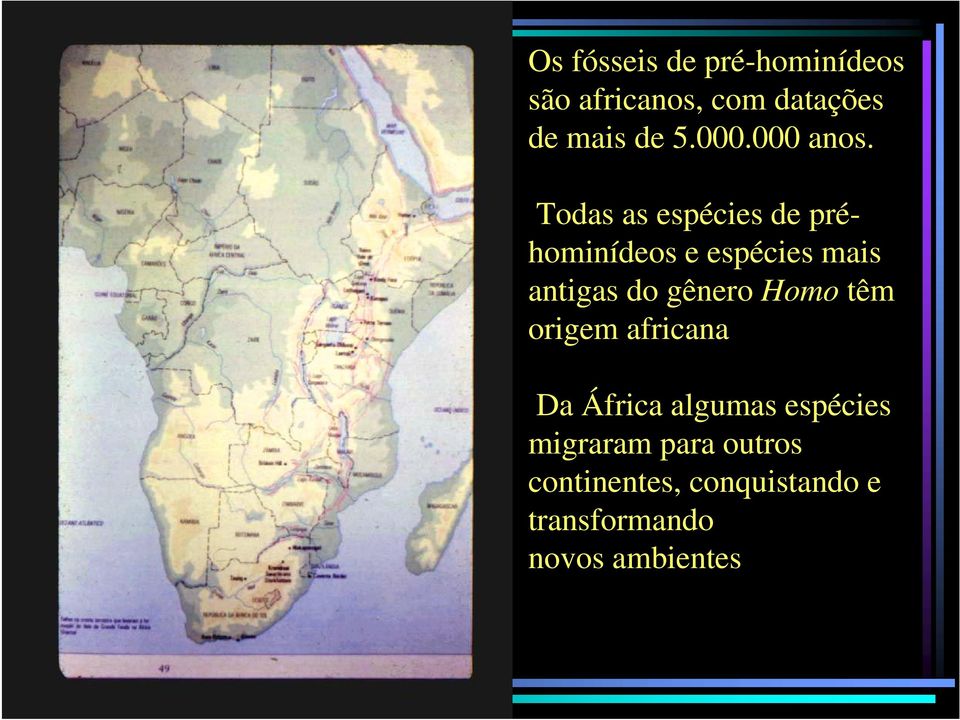 Todas as espécies de préhominídeos e espécies mais antigas do gênero