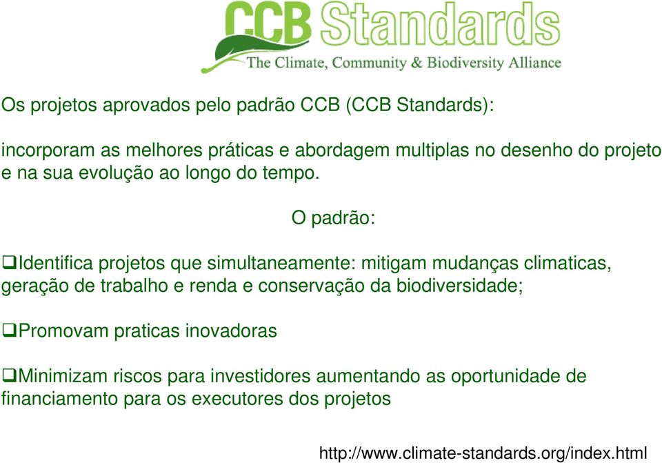 O padrão: Identifica projetos que simultaneamente: mitigam mudanças climaticas, geração de trabalho e renda e conservação