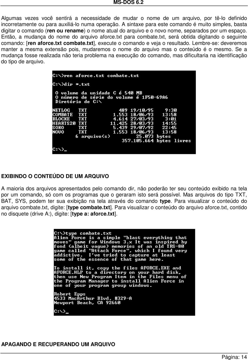 txt para combate.txt, será obtida digitando o seguinte comando: [ren aforce.txt combate.txt], execute o comando e veja o resultado.