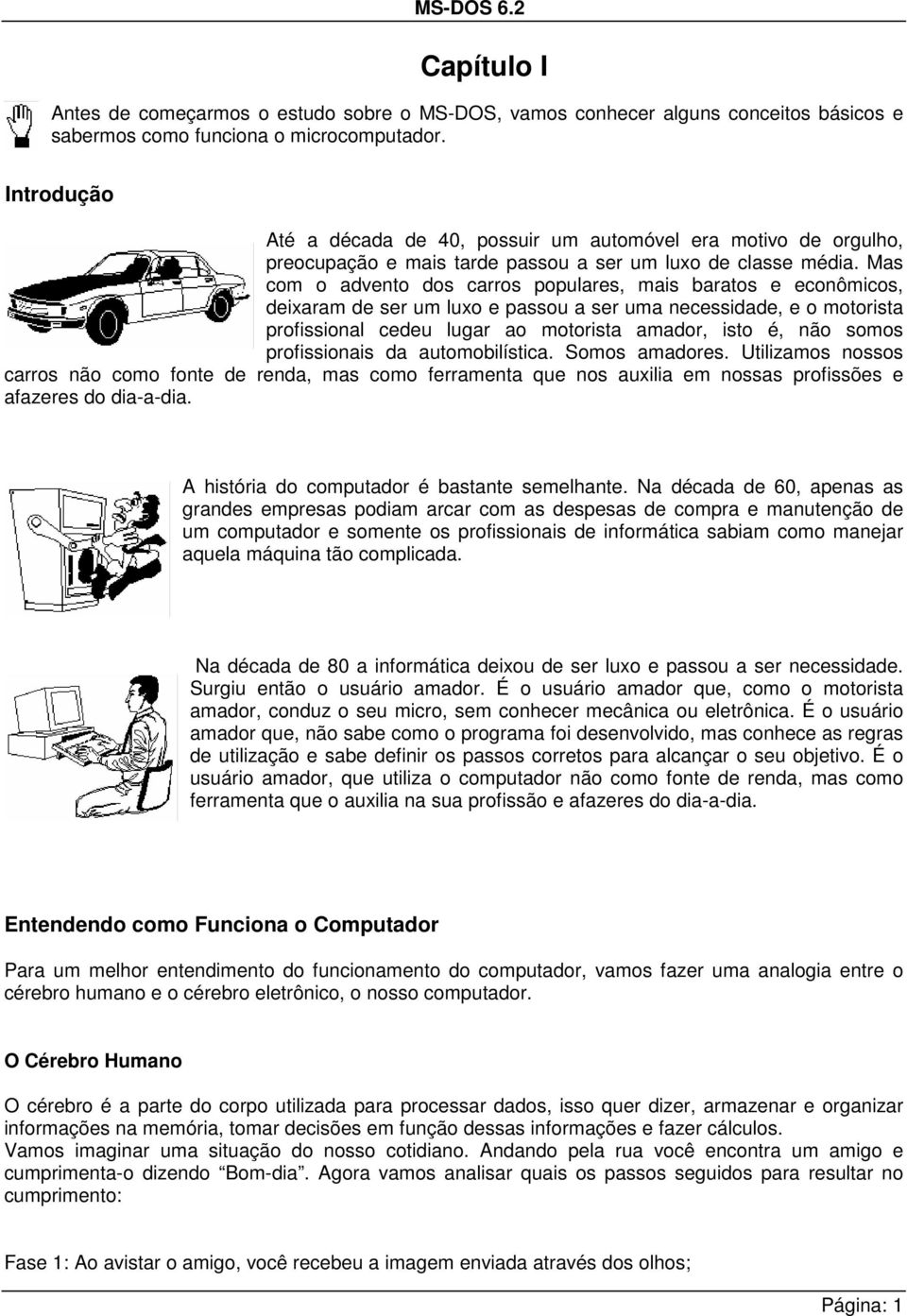 Mas com o advento dos carros populares, mais baratos e econômicos, deixaram de ser um luxo e passou a ser uma necessidade, e o motorista profissional cedeu lugar ao motorista amador, isto é, não