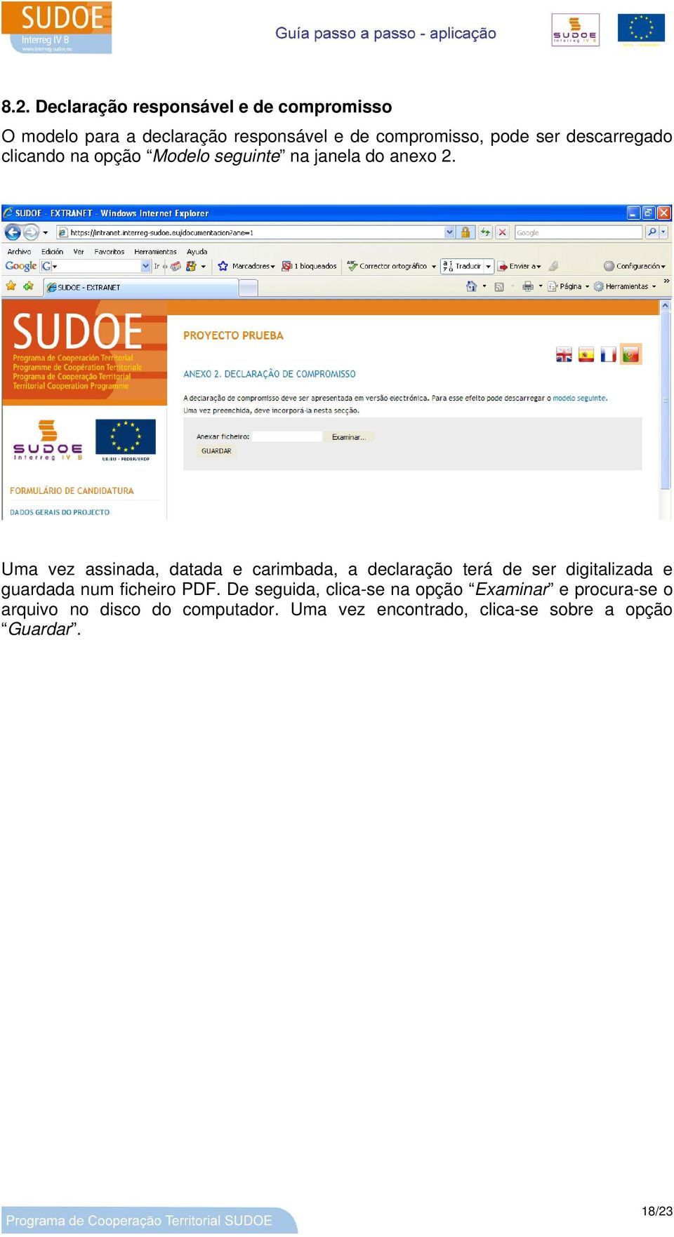 Uma vez assinada, datada e carimbada, a declaração terá de ser digitalizada e guardada num ficheiro PDF.