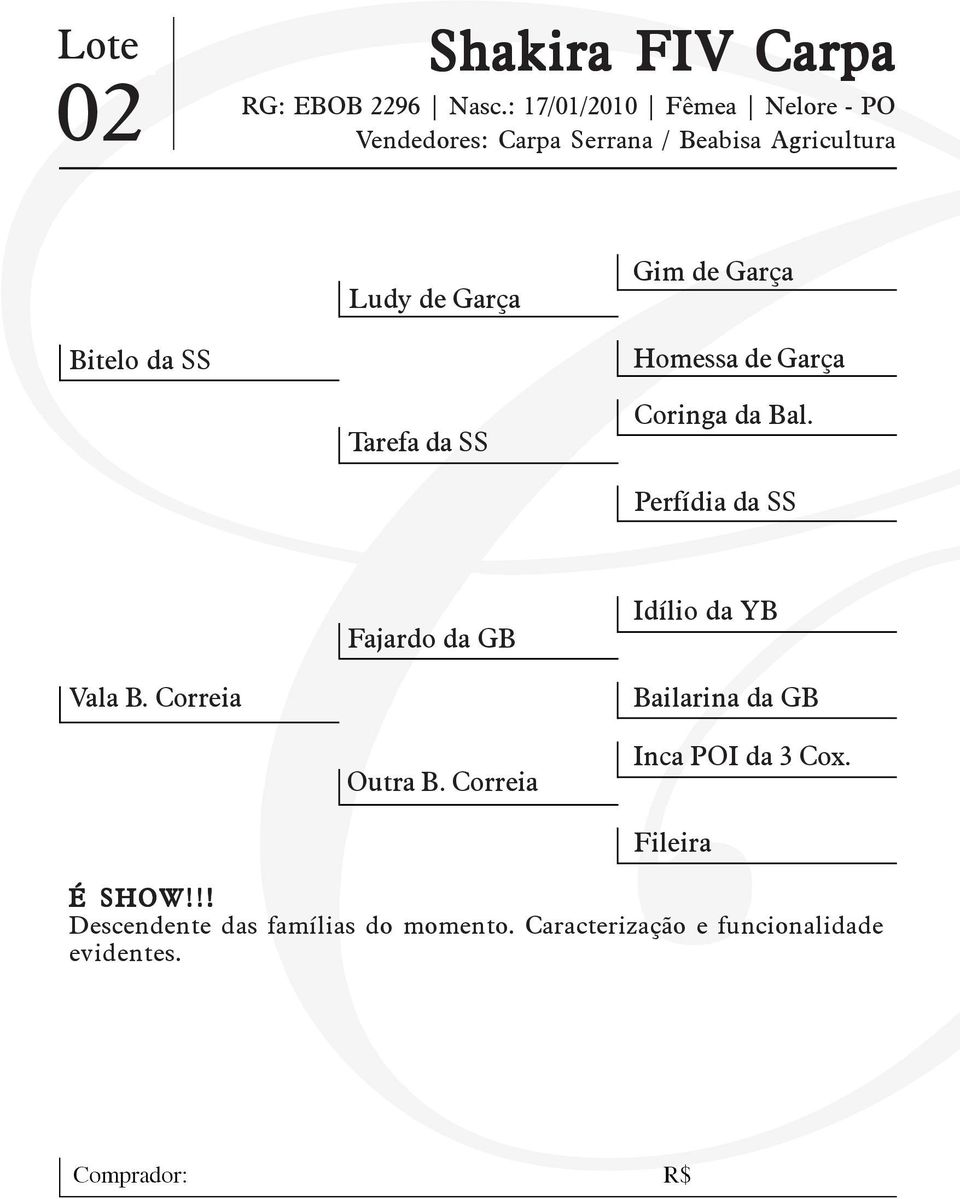 da SS Homessa de Garça Tarefa da SS Coringa da Bal.