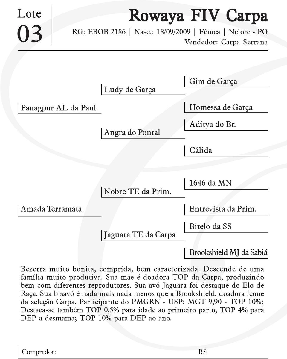 Descende de uma família muito produtiva. Sua mãe é doadora TOP da Carpa, produzindo bem com diferentes reprodutores. Sua avó Jaguara foi destaque do Elo de Raça.