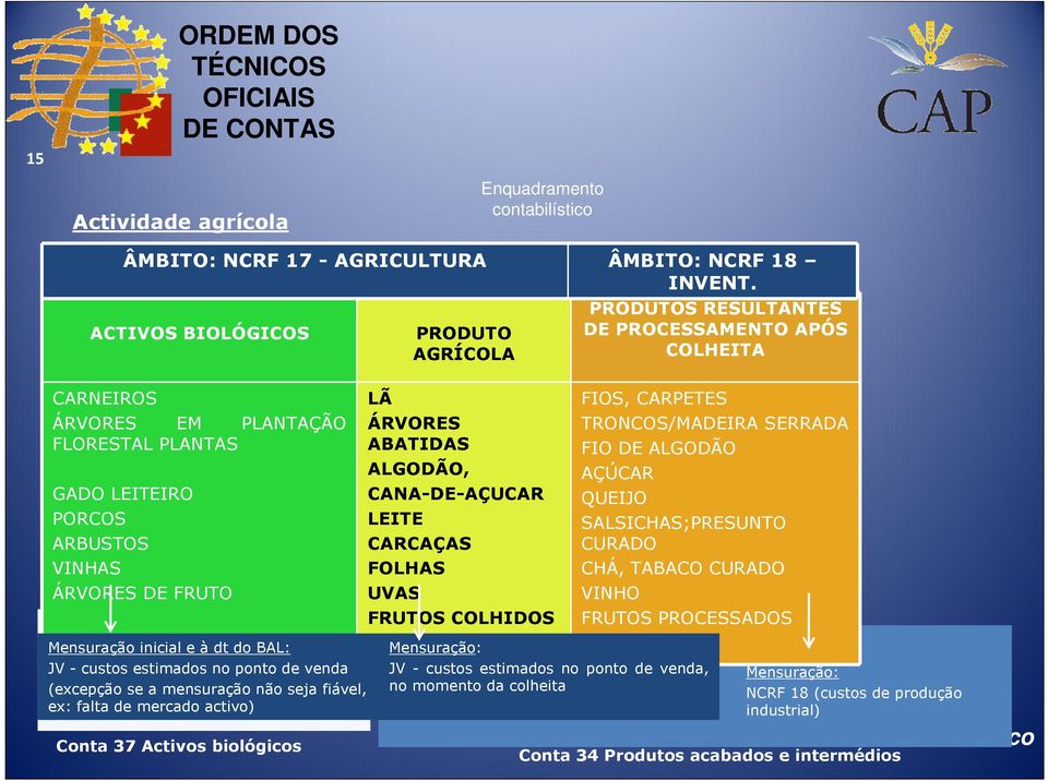 biológicos PRODUTO AGRÍCOLA LÃ ÁRVORES ABATIDAS ALGODÃO, CANA-DE-AÇUCAR LEITE CARCAÇAS FOLHAS UVAS FRUTOS COLHIDOS Mensuração: JV - custos estimados no ponto de venda, no momento da colheita INVENT.