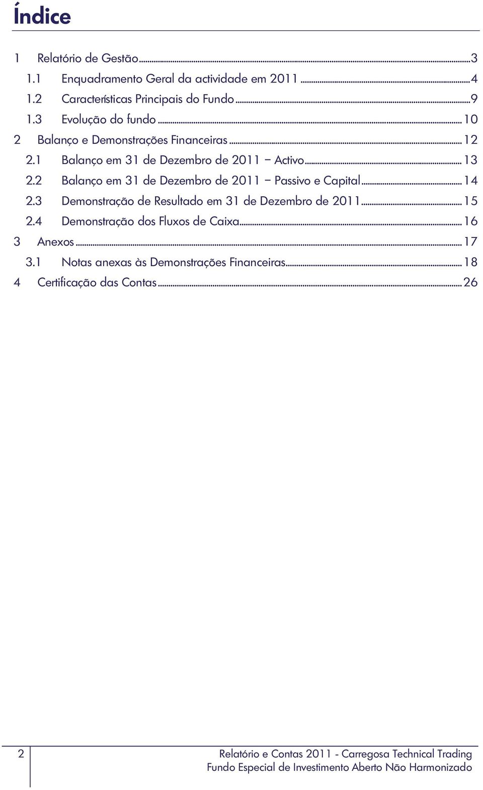 2 Balanço em 31 de Dezembro de 2011 Passivo e Capital... 14 2.3 Demonstração de Resultado em 31 de Dezembro de 2011... 15 2.