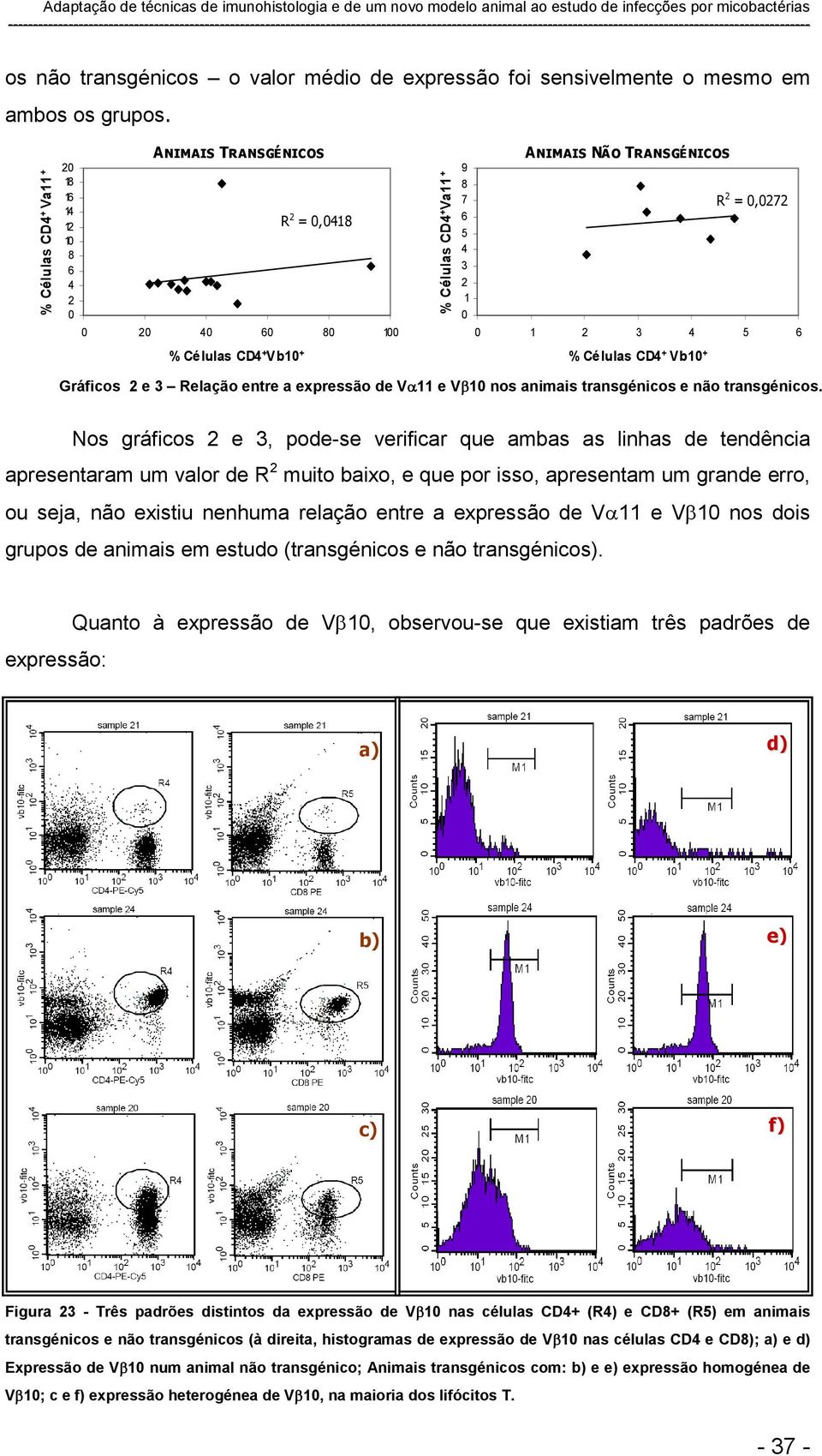 Células CD4 + Vb10 + % Células CD4 + Vb10 + Gráficos 2 e 3 Relação entre a expressão de Vα11 e Vβ10 nos animais transgénicos e não transgénicos.