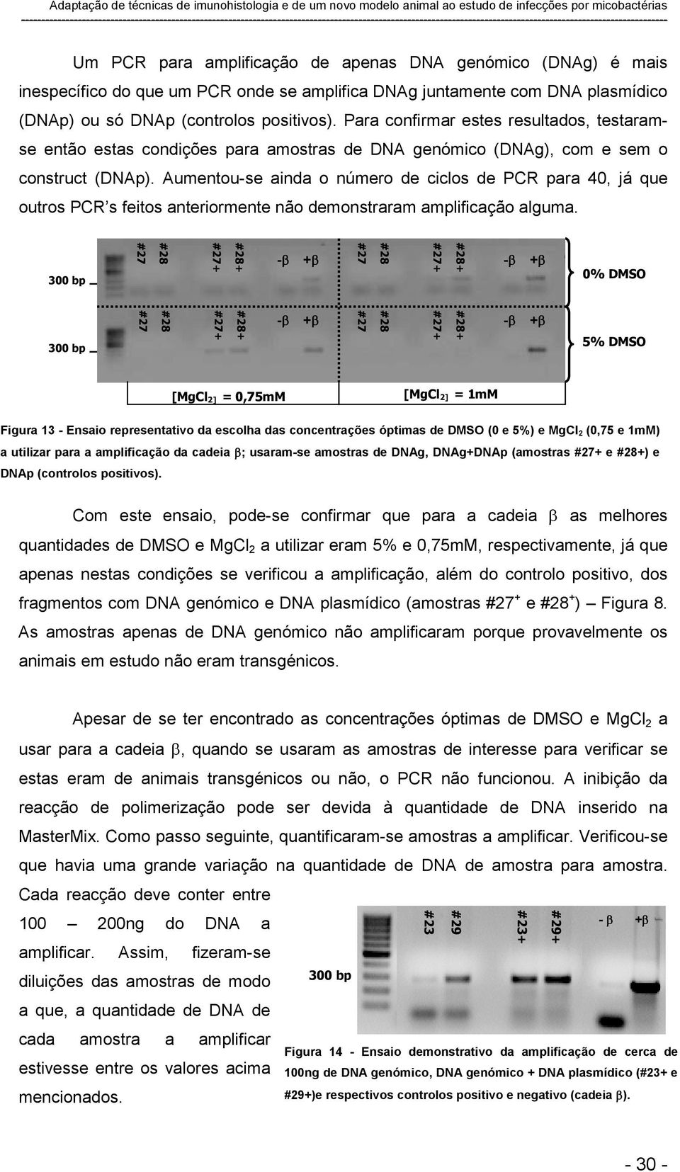 Aumentou-se ainda o número de ciclos de PCR para 40, já que outros PCR s feitos anteriormente não demonstraram amplificação alguma.