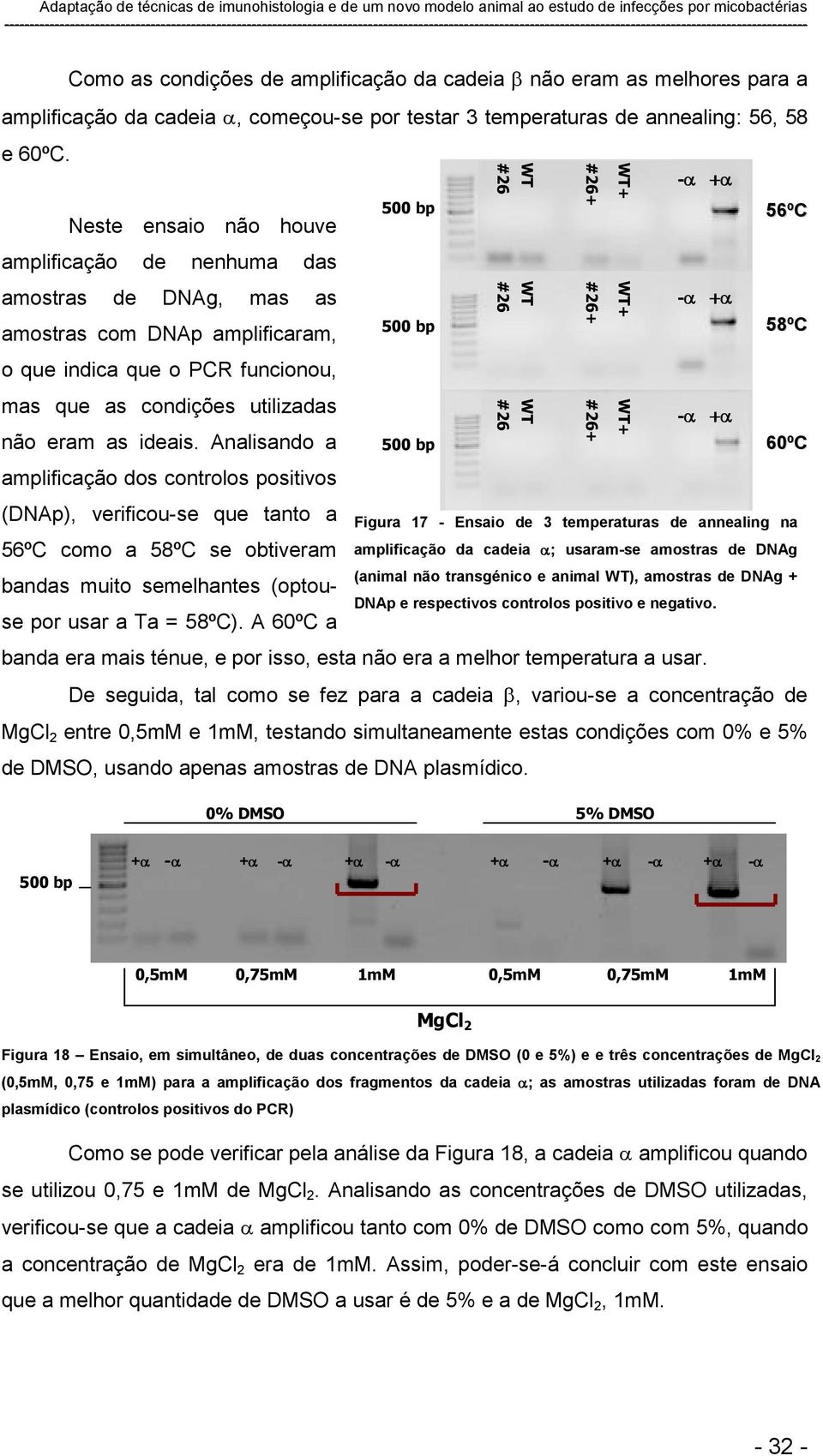 Analisando a amplificação dos controlos positivos (DNAp), verificou-se que tanto a 56ºC como a 58ºC se obtiveram bandas muito semelhantes (optouse por usar a Ta = 58ºC).