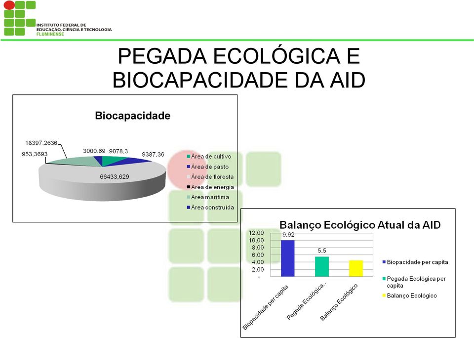 BIOCAPACIDADE