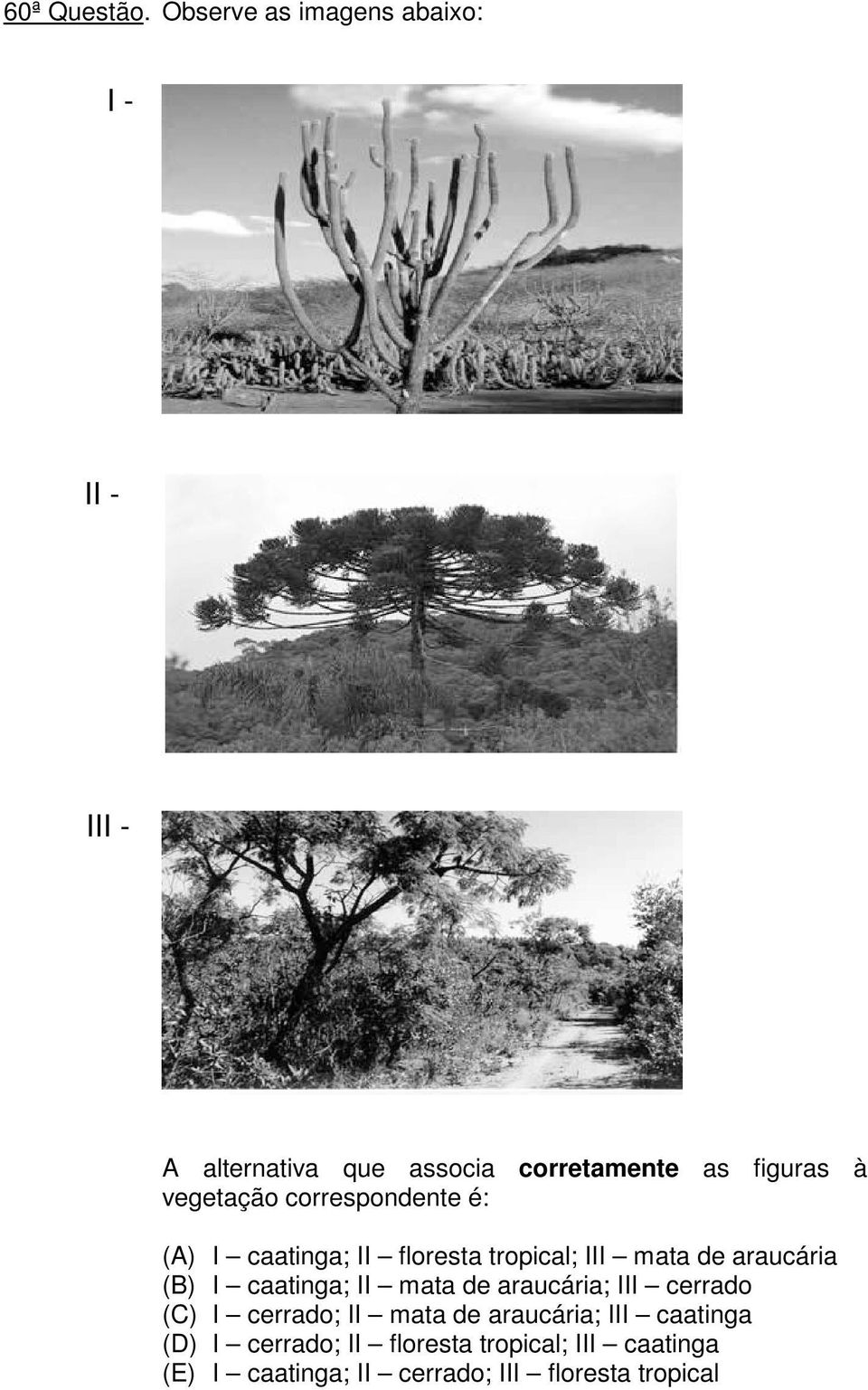 vegetação correspondente é: (A) I caatinga; II floresta tropical; III mata de araucária (B) I