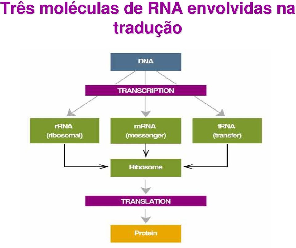 de RNA