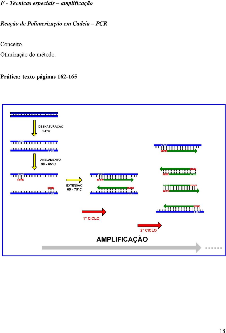Prática: texto páginas 162-165 DESNATURAÇÃO 94 C AC GT T GCA ACG T C CGT G C T GCAG
