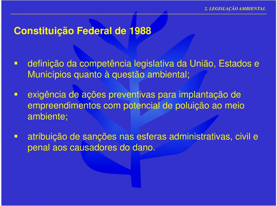 ações preventivas para implantação de empreendimentos com potencial de poluição ao