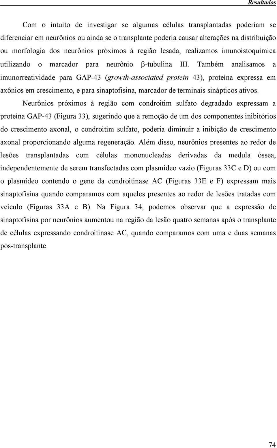 Também analisamos a imunorreatividade para GAP-43 (growth-associated protein 43), proteína expressa em axônios em crescimento, e para sinaptofisina, marcador de terminais sinápticos ativos.