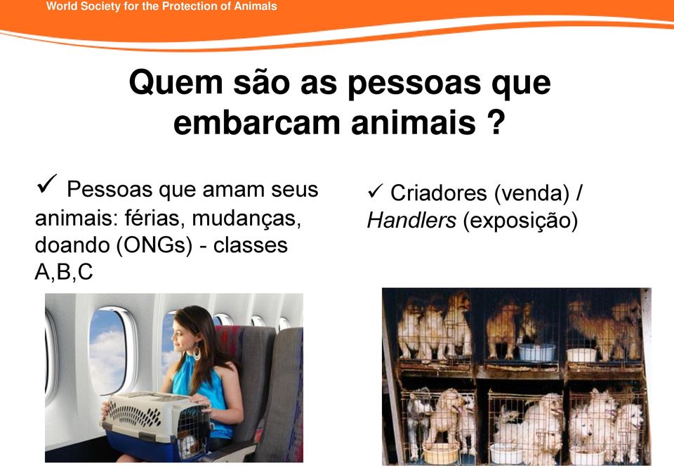 mudanças, doando (ONGs) - classes A,B,C