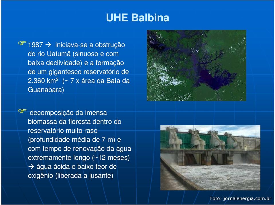 360 km 2 (~ 7 x área da Baía da Guanabara) decomposição da imensa biomassa da floresta dentro do