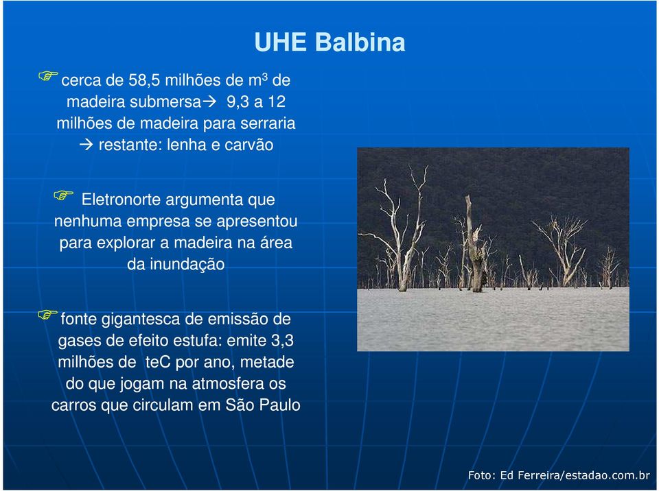 madeira na área da inundação fonte gigantesca de emissão de gases de efeito estufa: emite 3,3 milhões de