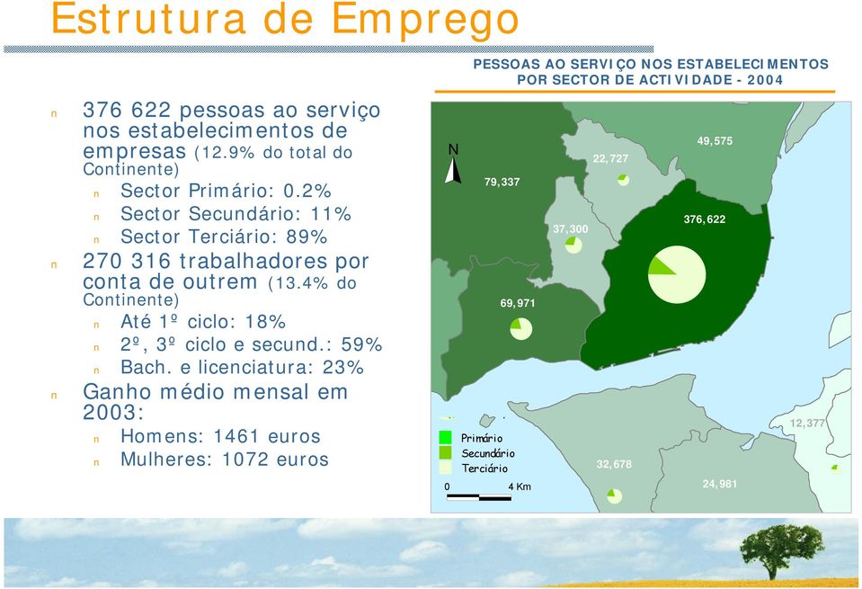 4% do Continente) Até 1º ciclo: 18% 2º, 3º ciclo e secund.: 59% Bach.