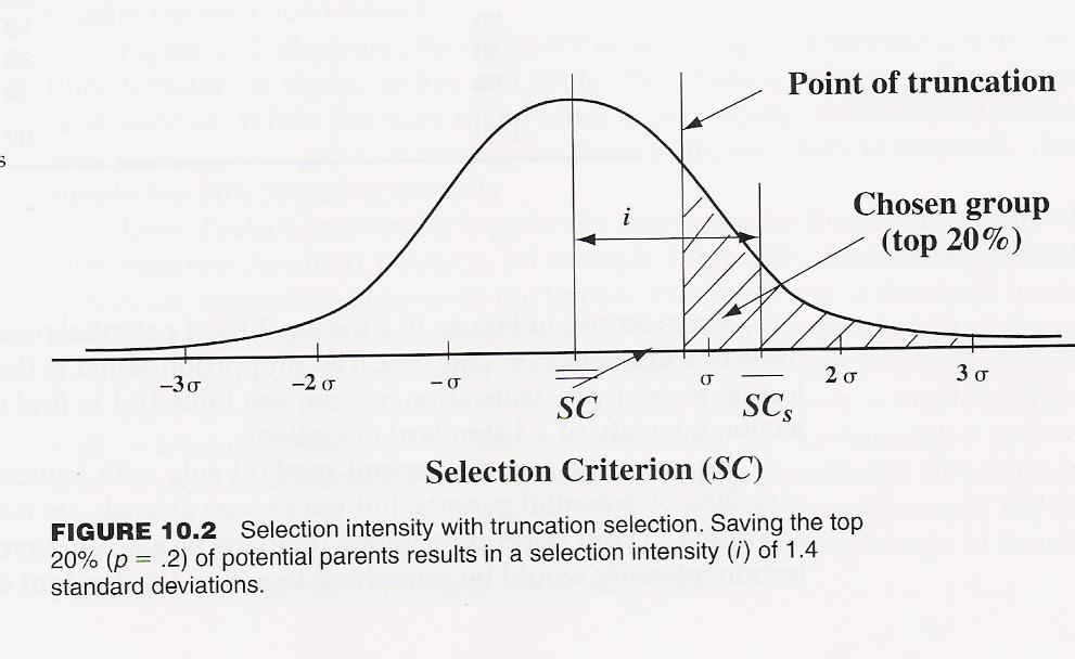 Diferencial (S) e Intensidade de seleção (i) Seleção