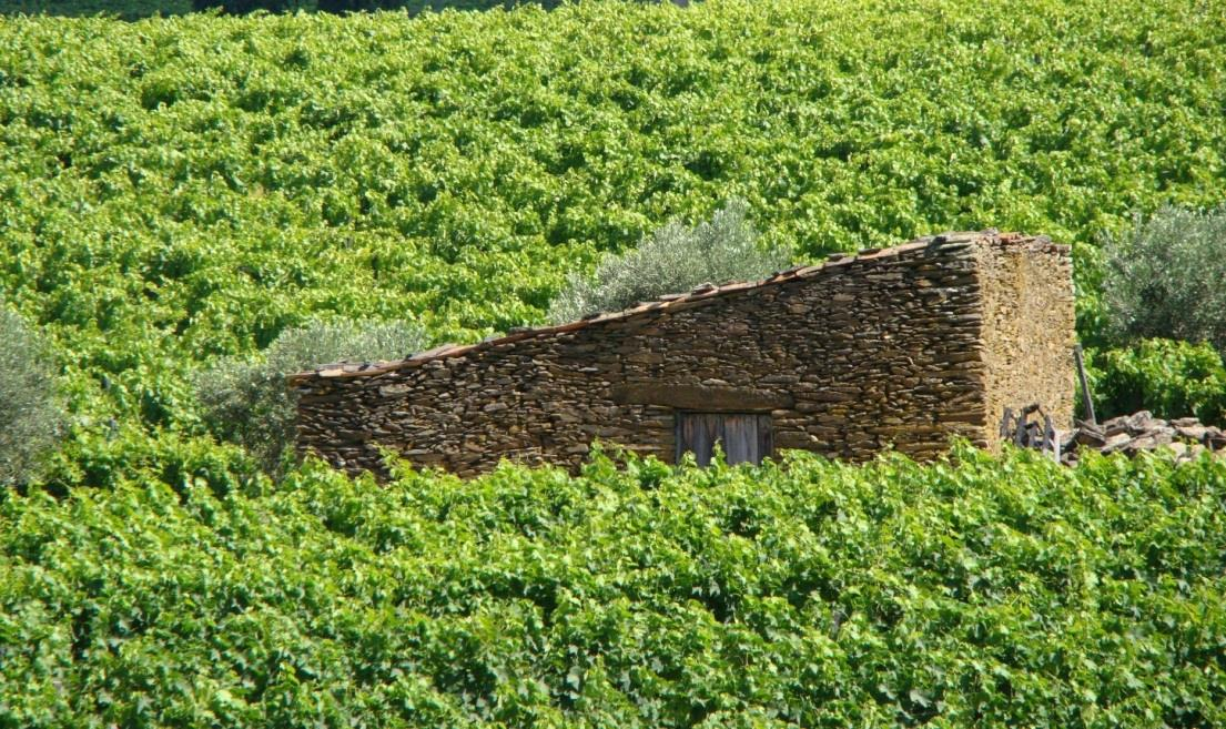 A PRESERVAÇÃO DO PATRIMÓNIO VERNACULAR E O SEU CONTRIBUTO PARA A COMPARTIMENTAÇÃO DA PAISAGEM A genuinidade e autenticidade da paisagem vinhateira dependem da preservação e valorização do património