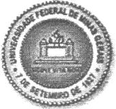 7.4 Anexo 4 UNIVERSIDADE FEDERAL DE MINAS GERAIS COMITÊ DE ÉTICA EM PESQUISA - COEP Parecer N. ETIC 300/08 Interessado(a): Profa.