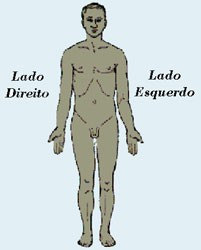 Plano lateral direito e esquerdo: É denominada quando é feito um corte coronal. O corpo é dividido em duas partes: uma direita e uma esquerda.