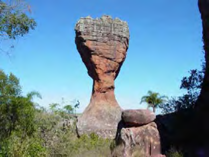 204 Mário Sérgio de Melo Figura 21.1 - A Taça, figura símbolo do Parque Estadual de Vila Velha, situado no Município de Ponta Grossa.