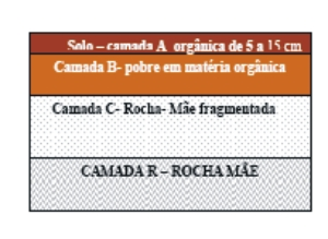 orgânica, encontra-se dividido em camadas (horizontes). O solo deve apresentar 4 horizontes que se podem dividir em sub-horizontes.