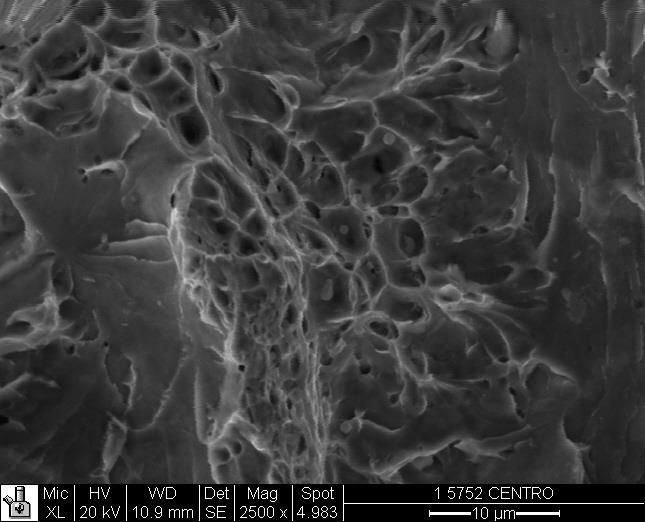 111 (a) (b) Figura 84: Fractografia obtidas por MEV do