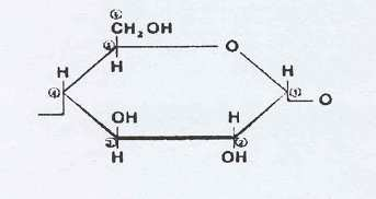 Amilose -É um polímero linear contendo até 6.000 unidades de glucose ligadas pelas ligações 1 4 (Figura 1) Figura 1: estrutura da cadeia linear de moléculas de amilose.
