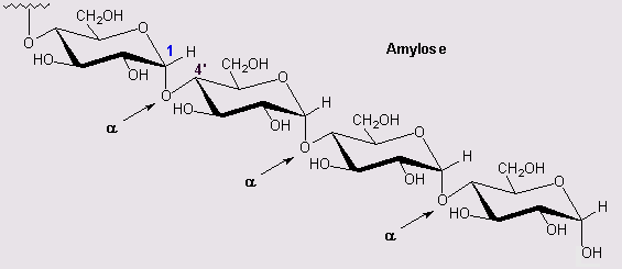 Amido é constituído por dois tipos de polímeros de glicose amilose Cadeias longas, não