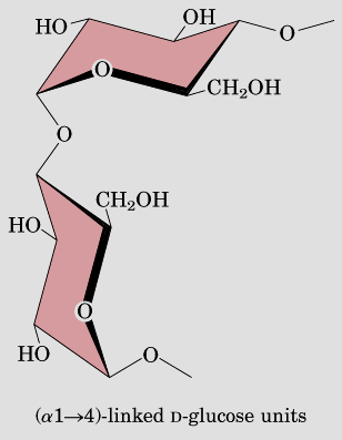 Ligações ( 1 4) das cadeias lineares da amilose, amilopectina e glicogênio proporcionam o