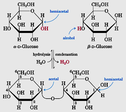 Reação glicosídica Grupo OH anomérico reage com uma OH de outro